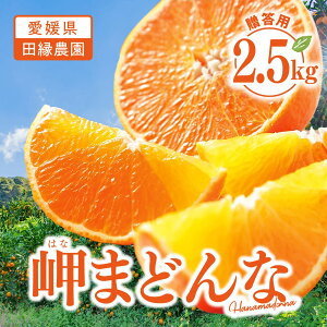 yz܂ǂ 2.5kgiL`3LTCYjy11{`zbc_ Q ݂  ~J ʕ ܂ǂ 28 g܂ǂ Md  Ԍ p Mtg 蕨 v[