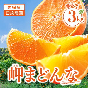 yz܂ǂ 3kgiL`3LTCYjy11{`zbc_ Q ݂  ~J ʕ ܂ǂ 28 g܂ǂ Md  Ԍ p Mtg 蕨 v[