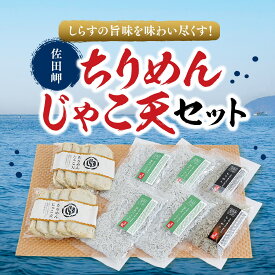 佐田岬ちりめんじゃこ天セット｜朝日共販 釜あげしらす ちりめん ちりめんじゃこ天 愛媛 佐田岬 海鮮 しらす じゃこ天 鮮度抜群 産地直送 おつまみ ギフト 贈り物 プレゼント 送料無料 愛媛百貨店 母の日 父の日【お歳暮・冬ギフト】