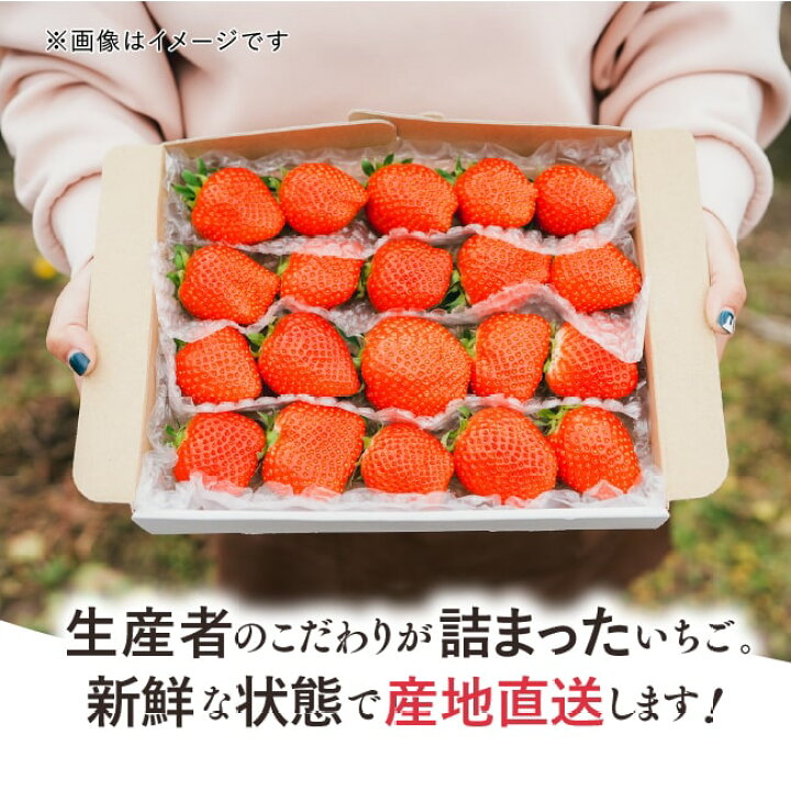 楽天市場】【 送料無料 】新鮮朝採り 宇和いちご 特大2箱【2月初旬から 