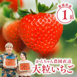y  zVN̂ Fa 嗱1y11{珇zb񂿂_  Q Fa   Yi Mtg 蕨 v[g XC[c j Y ̓