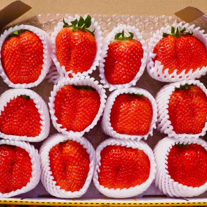 楽天市場】【 送料無料 】新鮮朝採り 宇和いちご 特大2箱【2月初旬から 