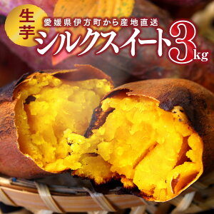 シルクスイート(生芋) 3kg|11月初旬〜順次出荷|金太郎倶楽部 愛媛 伊方町産 サツマイモ しっとり なめらか 上品 糖度 高い 朝採り 焼き芋 スイーツ スイートポテト 干し芋 産地直送 送料