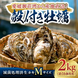 y  zŋۏ 슈 MTCY 2kg 16xbb Q 쒬 䑑p kty JL JL 嗱 vv Yn Yi