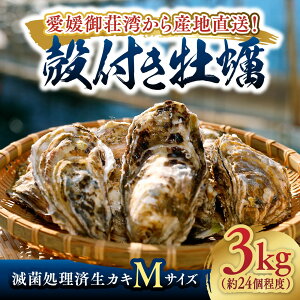 y  zŋۏ 슈 MTCY 3kg 24xbb Q 쒬 䑑p kty JL JL 嗱 vv Yn Yi