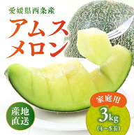 アムスメロン 【家庭用】3kg（4～5玉）｜愛媛県産 西条市 周桑 メロン フルーツ くだもの 期間限定 産地…