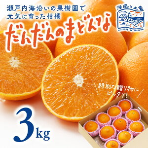 【送料無料】だんだんのまどんな 3kg【12月初旬から発送】|海風と土竜 愛媛県産 松山市 北条 みかん 蜜柑 ミカン 愛果28号 紅まどんな 高級 柑橘 貴重 産地直送 フルーツ くだもの 期間限定