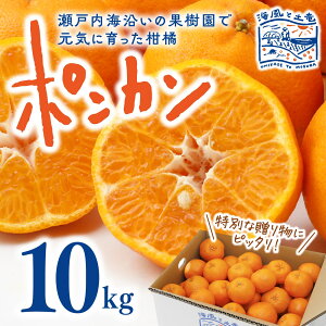 【送料無料】ポンカン10kg 【2026年1月中旬から発送】|海風と土竜 愛媛県産 松山市 北条 みかん 蜜柑 ミカン ぽんかん ポンカン 柑橘 産地直送 フルーツ くだもの 期間限定 贈答用 冬ギフト