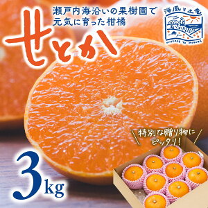 �y���������z���Ƃ� 3kg�y2026�N3�����{���甭���z�b�C���Ɠy�� ���Q���Y ���R�s �k�� �݂��� ���� �~�J�� ���Ƃ� ���� ���k �M�d �Y�n���� �t���[�c �������� ���Ԍ��� �����p �~ �t �M�t�g ��