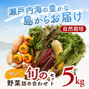 yR͔|zgh{̖؋lߍ킹Zbg 5kgbQ Y ˂̌_ _ w엿sgp Y R͔|  xW^u  Mtgƒ Yn 