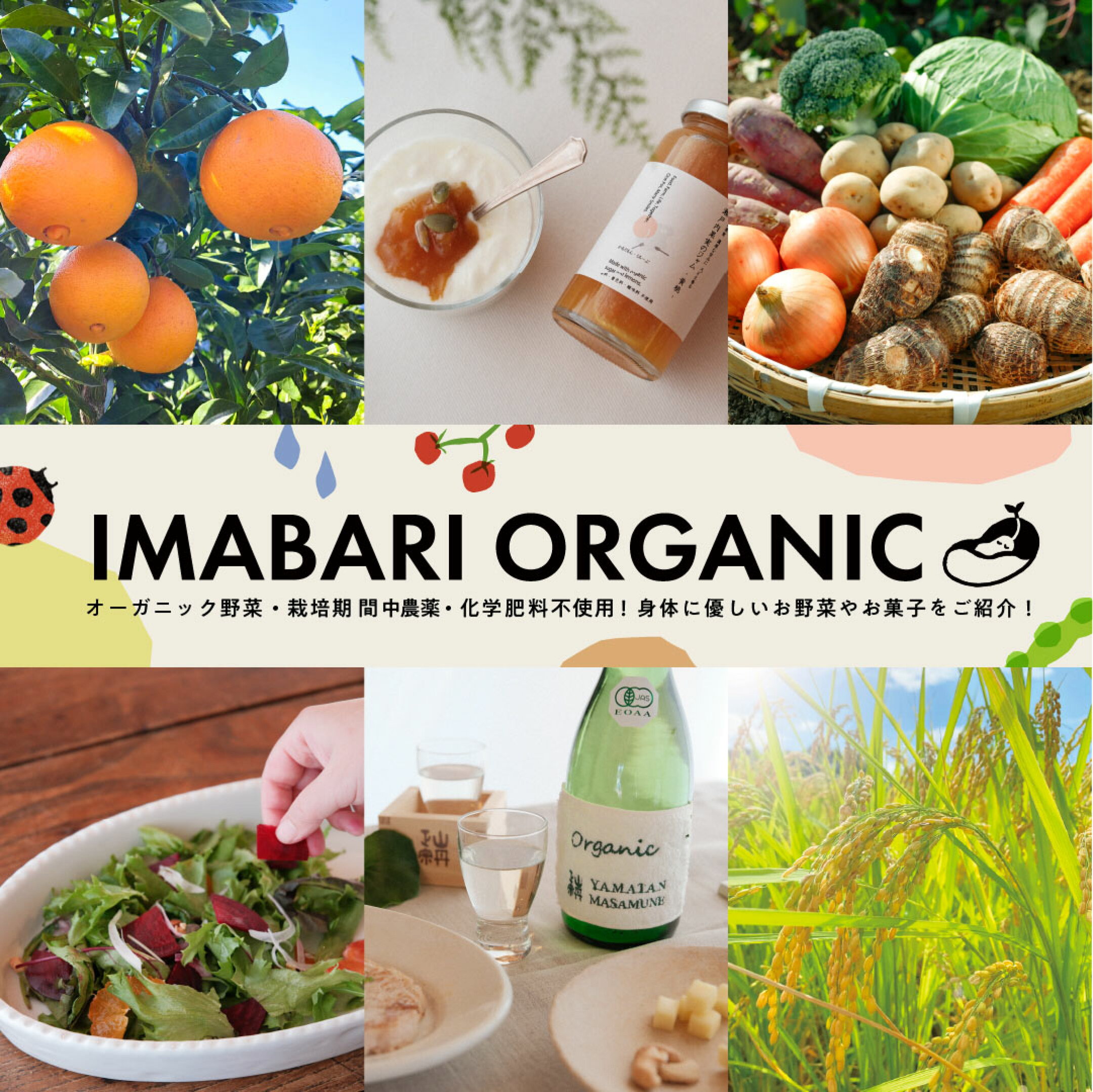 オーガニック野菜や身体に優しいお野菜やお菓子をご紹介！