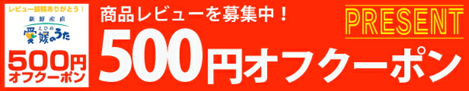レビュー投稿で500円オフクーポンプレゼント