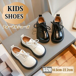 qC tH[}V[Y [XAbv   [XAbvu[c qC[X^[ qCCt~[ j̎q ̎q   w [t@[ xr[C C q qǂC LbY 