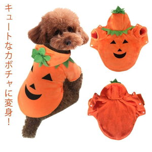 �p�[�J�[ �~�� �t�[�h�t�� �y�b�g ���� ���n �g���� �~ �� �n���E�B���� �N���X�}�X�� ���� �L�� �H�~ �h���� �������� �y�b�g�O�b�Y ���� �g�C�v�[�h�� �傫���T�C�Y �����Y ���f�B�[�X