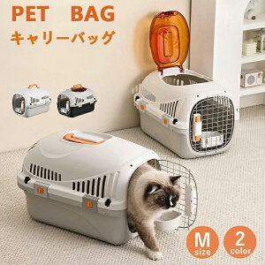 ybgL[ n[h^Cv L[P[X L[obO Lp p h s U Ή ^ vX`bN y ^ѕ֗ ʋCEt 