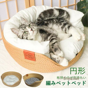 �L�p�x�b�h �y�b�g�x�b�h �y�b�g�n�E�X �L�n�E�X �L���b�g�n�E�X �x�b�h �L �҂݃y�b�g�x�b�h ��҂� �L�x�b�h ������ ���x�b�h ���n�E�X �N�b�V�����t�� �傫���T�C�Y �������