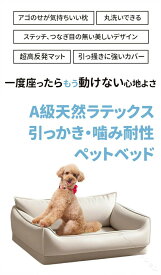 天然 ラテックス ペット ベッド 高機能 テック レザー 防水 防汚 噛み 引っかき に 強い 25kg まで 通年 使用 可能 犬用 猫用 へたり にくい ズレ ない お手入れ 簡単 弾力性 抜群 圧力 分散 背中 サポート 快適 な 眠り 2 サイズ 展開