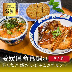 真鯛のあら炊き 鯛めし じゃこカツ セット 4人前 送料無料 愛媛県産 簡単調理 居酒屋さんが作ったこだわりタレ 取り寄せ 贈答 贈答品 お歳暮 2025 ギフト
