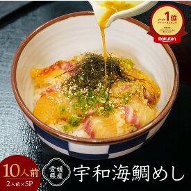 鯛めし 愛媛県産 宇和海鯛めし2人前×5パック 10人前 送料無料 鯛 たい 取り寄せ 贈答 贈答品 ギフト お歳暮 2025 ギフト