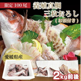 鯛 真鯛 切り身 愛媛県産養殖真鯛 (お頭付き)3枚おろし 約2kg 送料無料(北海道・沖縄を除く) 愛媛県 まだい 送料無料 取り寄せ 贈答 贈答品 ギフト 父の日