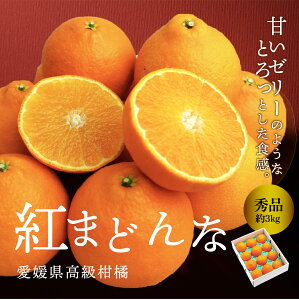 ݂ g܂ǂ Gi 3kg QY ʕ t[c ~J k Mtg  Yi  Ε 2025 Mtg