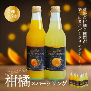 W[X Xp[NO Xp[NOW[X(݂E͓ӊ) ʓr Q k ݂ Mtg Zbg v[g Ε 2025 Mtg