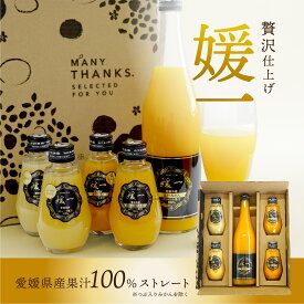 ジュース 媛一(温州みかん720ml 媛一まどんな・つぶ入りみかん・はるか・ニューサマーオレンジ160ml) ストレート果汁100%ジュース 送料別途 愛媛 ギフト セット プレゼント お歳暮 2025 ギフト