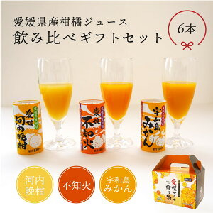 愛媛県産柑橘ジュース 飲み比べギフトセット 6本 ストレート果汁100% ジュース 送料別途 愛媛 ギフト セット プレゼント みかんジュース 飲み比べ お歳暮 2025 ギフト
