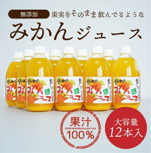 W[X Ђ߂݂̂Xg[gW[X 500ml×12{Zbg QY Xg[g ݂ ~J Mtg Zbg Ε 2025 Mtg