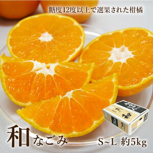 \񏤕i ݂ ݂Ȃ̋I a(Ȃ)݂ S~L 5kg 40~60 QY ʕ t[c ~J k Mtg  Yi  Ε