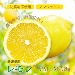 �\�񏤕i ���Q���Y������ �G�i L�`M ��2kg �m�����b�N�X �����ʓr ���Y �Y�n���� ����� ��