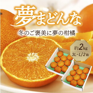みかん 夢まどんな 約2kg 2箱セット 3L~L 秀品 約7〜10玉 愛媛県産 果物 フルーツ ミカン 柑橘 ギフト お取り寄せ 特産品 青果 贈答用 予約商品 お歳暮 2025 ギフト