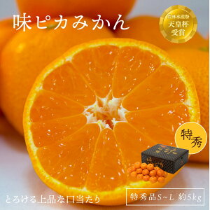 \񏤕i ݂ sJ݂ 5kg 40~60 S~L JAɂ ㋤I QY ʕ t[c ݂ ~J k Mtg  Yi  Ε