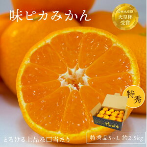 \񏤕i ݂ sJ݂ 2.5kg 20~30 S~L JAɂ ㋤I QY ʕ t[c ݂ ~J k Mtg  Yi  Ε