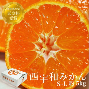 \񏤕i ݂ Fa݂ S~L 5kg 40~60ʑO QY ʕ t[c ݂ B݂ ~J k Mtg  Yi  Ε