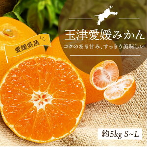 \񏤕i ݂ ʒËI B݂ S~L 5kg QY ʕ t[c ~J k Mtg  Yi  Ε