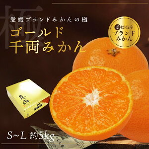 \񏤕i ݂ ̊ۋI S[h痼݂ S~L 5kg 40~60 QY ʕ t[c ݂ ~J k Mtg  Yi  Ε