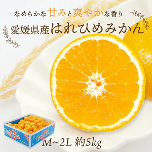 \񏤕i ͂Ђ nq M~2L 5kg 30~45ʑO QY ʕ t[c ݂ ~J k Mtg  Yi  Ε