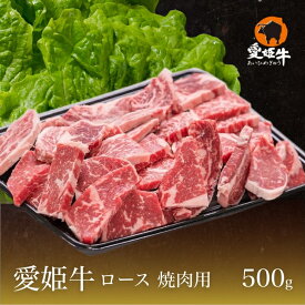 愛媛県産 愛姫牛 和牛 ギフト 愛姫牛ロース 焼肉用 500g 贈答 贈答品 ギフト プレゼント お中元