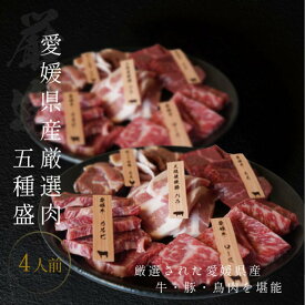 焼肉 愛媛 焼肉セット 4人前 送料無料(北海道・沖縄を除く) 送料無料 愛姫牛 和牛 三瓶放牧豚 媛っこ地鶏 愛媛県産 2024 プレゼント BBQ 父の日