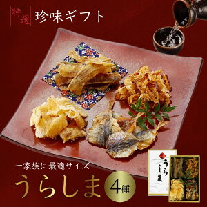   I 炵 ʓr Mtg v[g