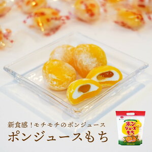 |W[X VH ``̃|W[Xyʓrz َq XC[cMtg