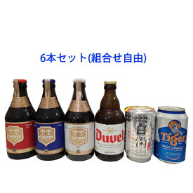 【組合せ自由】 ☆高アルコールビール有り☆　外国ビール6本セット