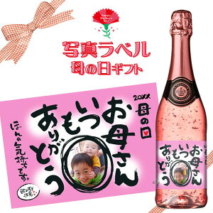 y̓ʐ^xMtgztFX^X@[S[h@@Xp[NOC@750mlyz