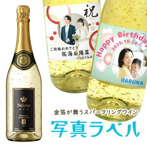 X@ʐ^xXp[NOC@tFX^X 750mlyv[gz