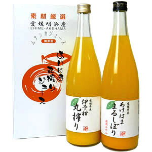 yMtgɍœKIzmYҒinQl݂̂W[X@ɂ̂܂W[X2{Zbg