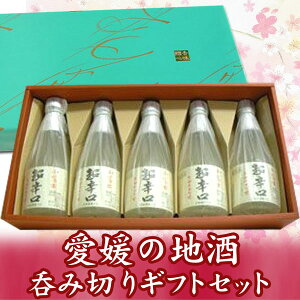 y{Mtgܖ{zQn@ݔ׃Zbg@xm@h@300mlx5{Zbgyv[gz