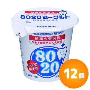 ylƁz8020[Og Hׂ郈[Og 110g×12 [炭]