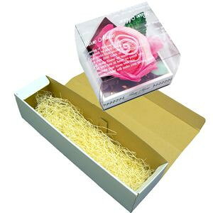 yIvViz[YMtg{bNX [õ^I`[tt]