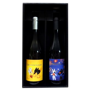 TƃKXp[ C@@VhlsmEm[@ݔ2{Mtg